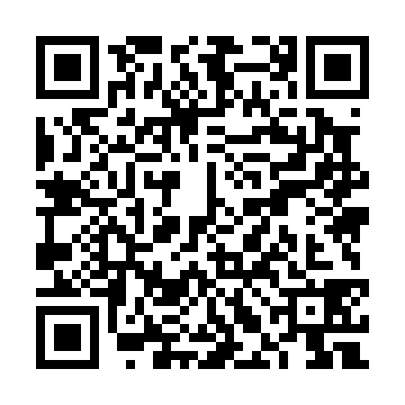 QR code for VLM0387