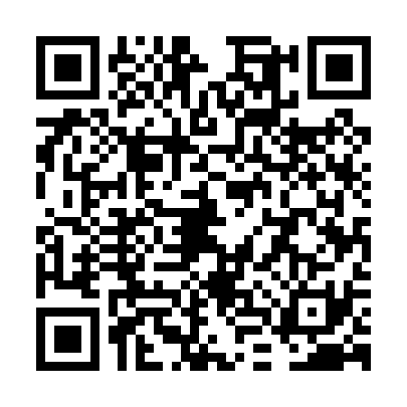 QR code for VLU0319