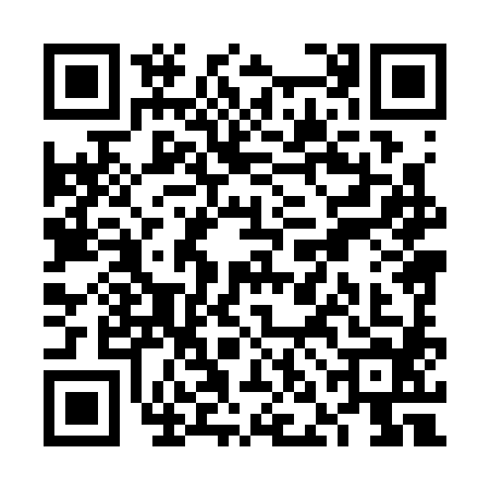 QR code for VNH3841