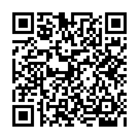 QR code for VNO6313