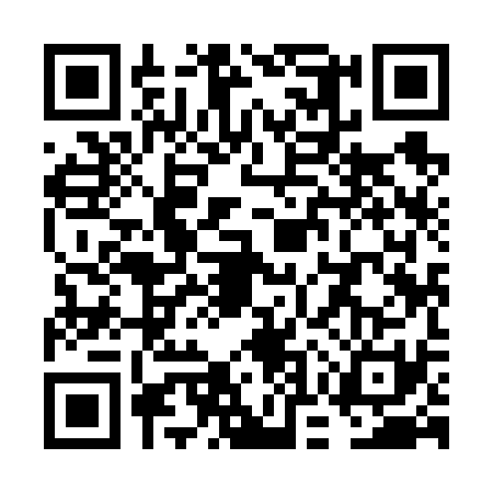 QR code for VOY6313
