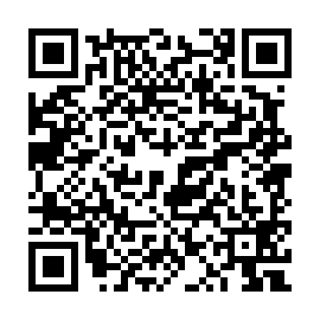 QR code for VQP4994