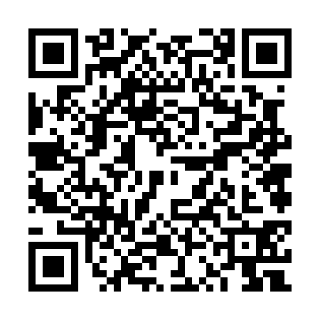 QR code for VSF0301