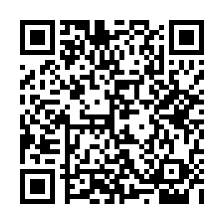QR code for VSX0381
