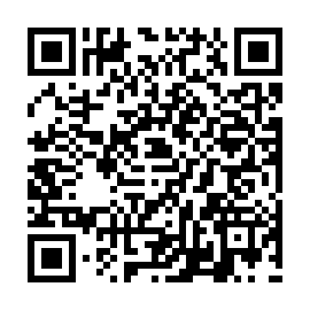 QR code for VVN3873