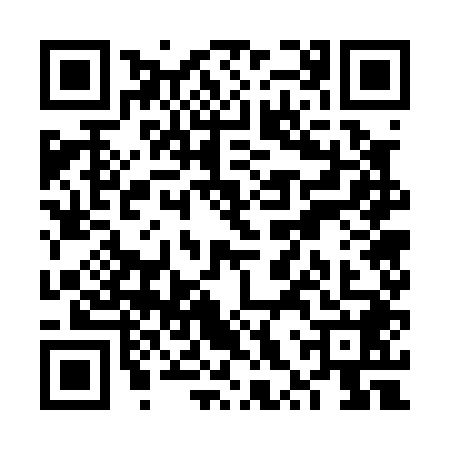 QR code for VXW0489