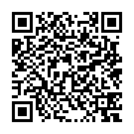 QR code for VYO0385