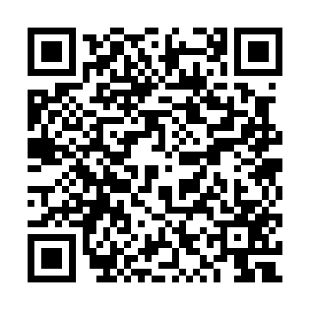 QR code for VYS0571