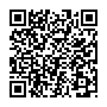 QR code for VYX6913