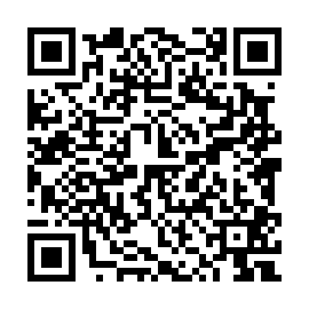 QR code for VZL0017
