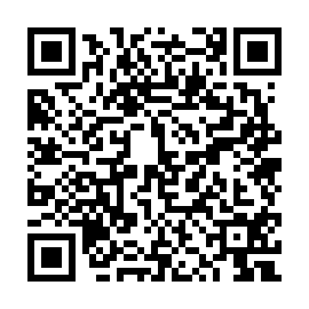 QR code for VZO6141