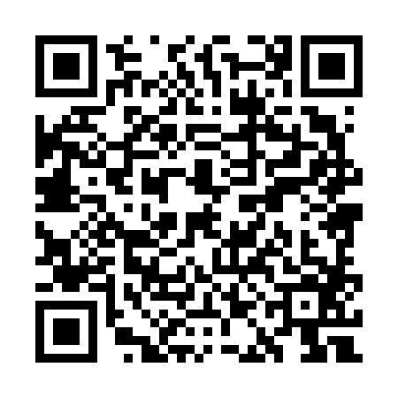 QR code for WAH6863