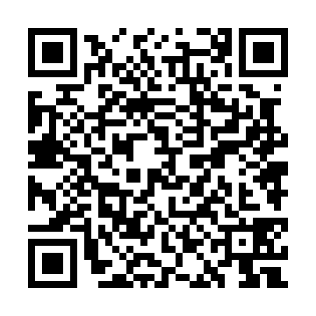 QR code for WAN0384