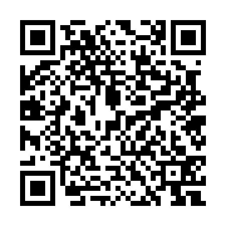 QR code for WDG0334
