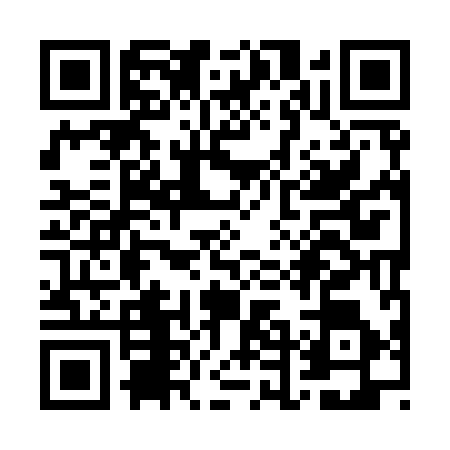 QR code for WDI9965