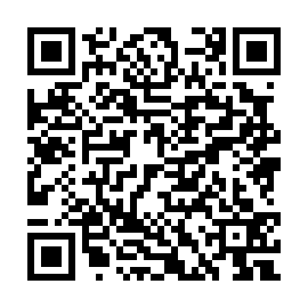 QR code for WDX0333