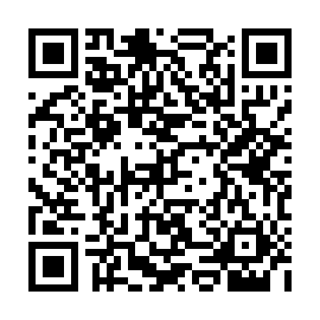 QR code for WDY0013