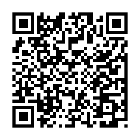 QR code for WIB6009