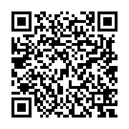 QR code for WIB8295