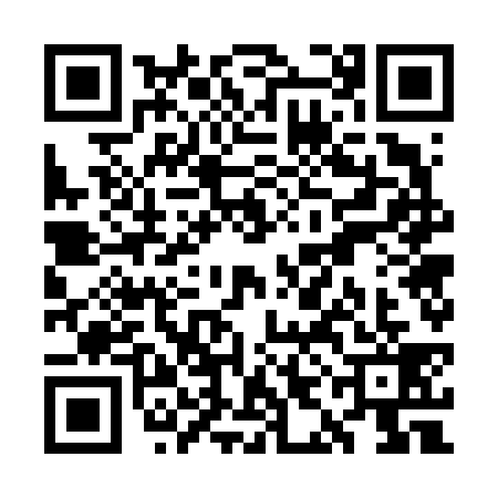 QR code for WIG6393