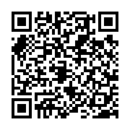QR code for WIL6597