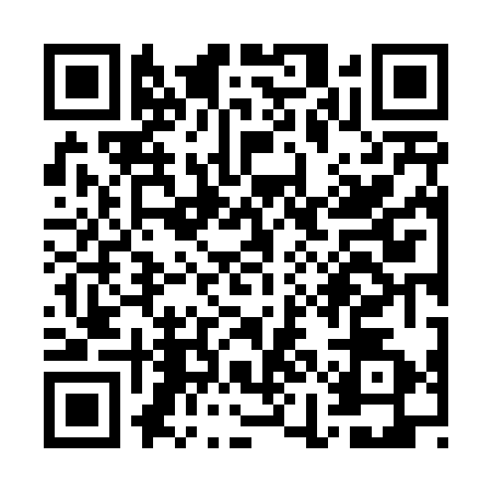 QR code for WIN4729