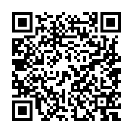 QR code for WIN9545