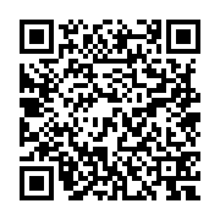 QR code for WIO9729