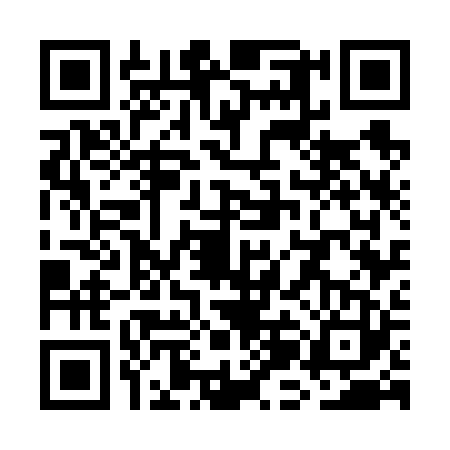 QR code for WJG6233