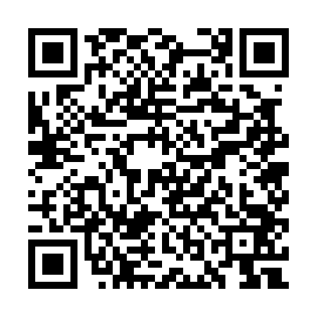 QR code for WOG0438