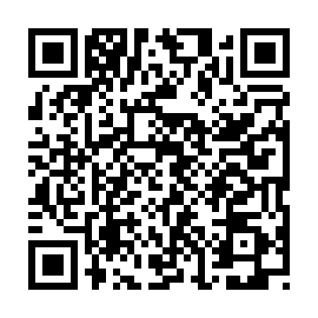QR code for WOI0509