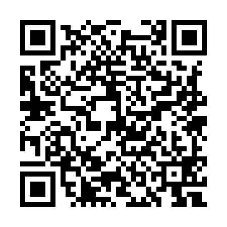 QR code for WOK9994