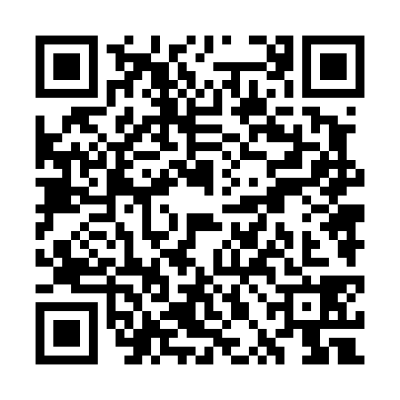 QR code for WPN4381