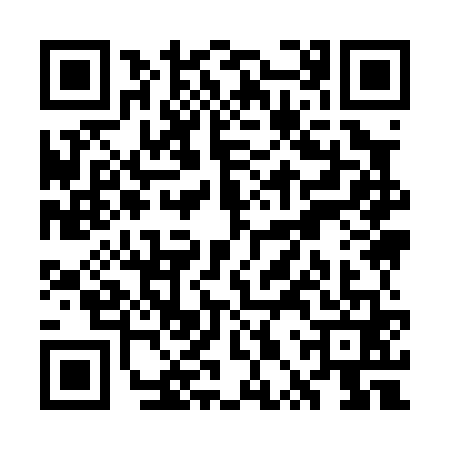 QR code for WPY0613
