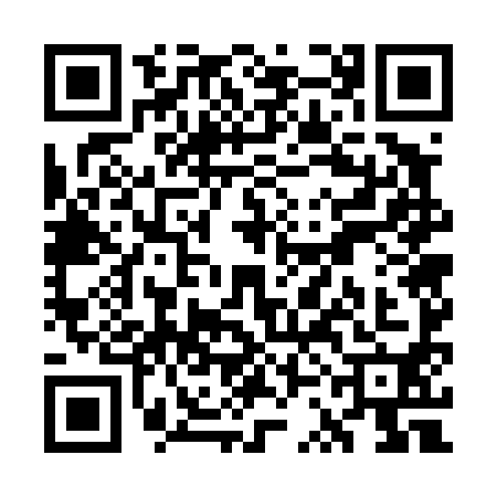 QR code for WSG4906