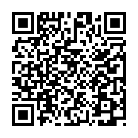 QR code for WYZ0419