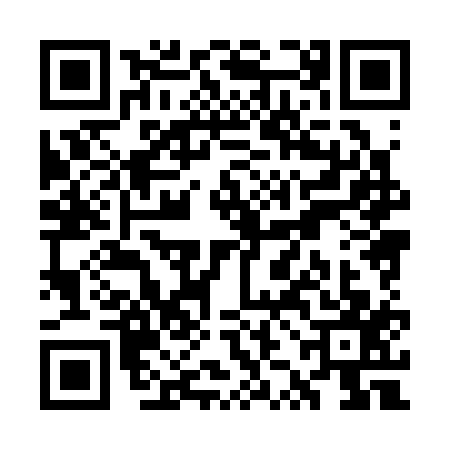 QR code for WZH3176