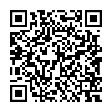QR code for WZL0665