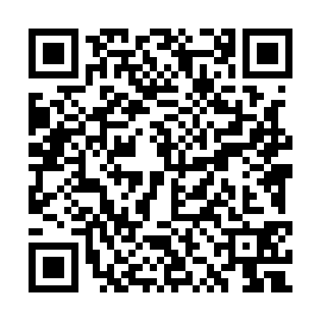 QR code for WZL1301