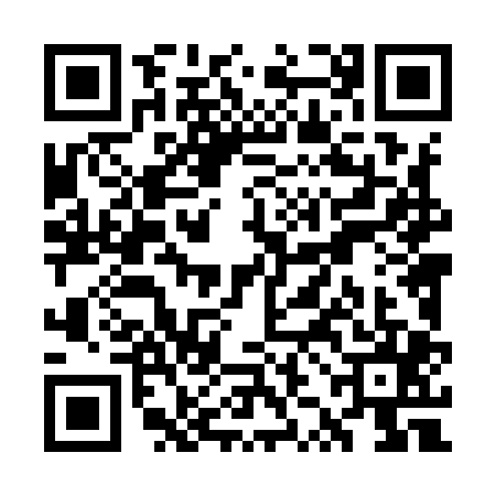 QR code for WZL9051