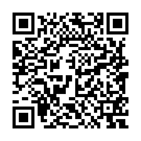 QR code for WZL9513