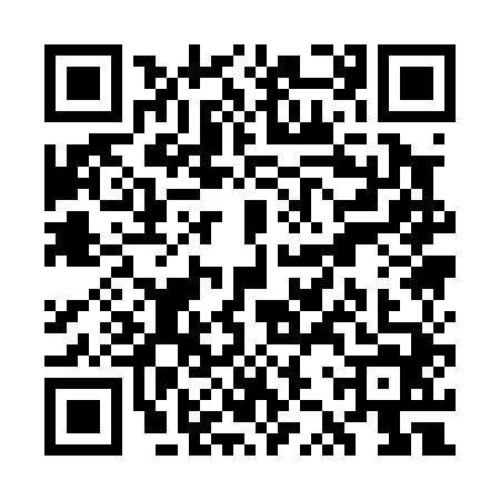 QR code for WZQ0447