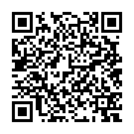QR code for XAR0333