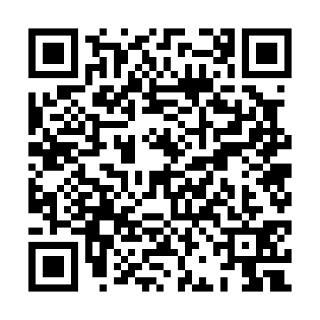 QR code for XBG0316