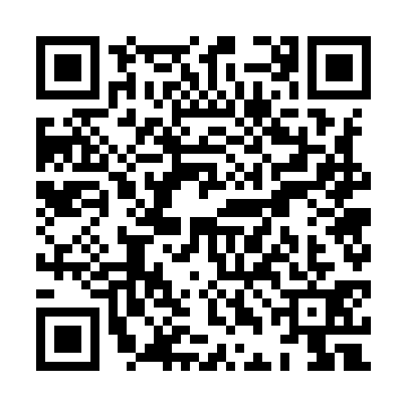 QR code for XDG9311