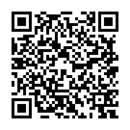 QR code for XDQ8733