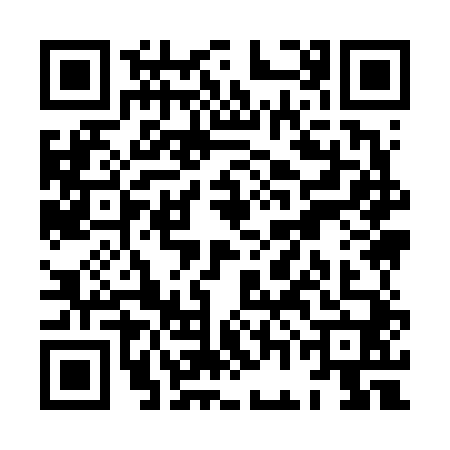 QR code for XGI6401