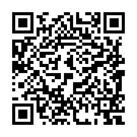 QR code for XGL9933