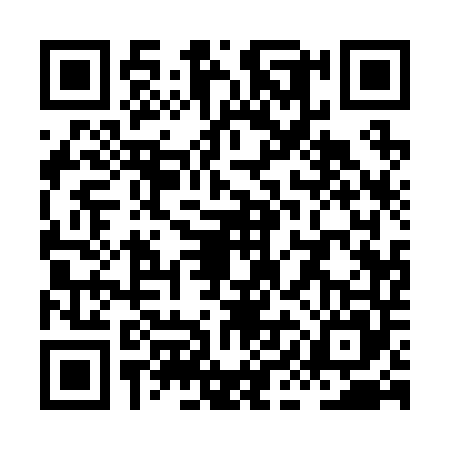 QR code for XIA2452