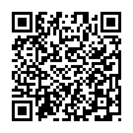 QR code for XII8497